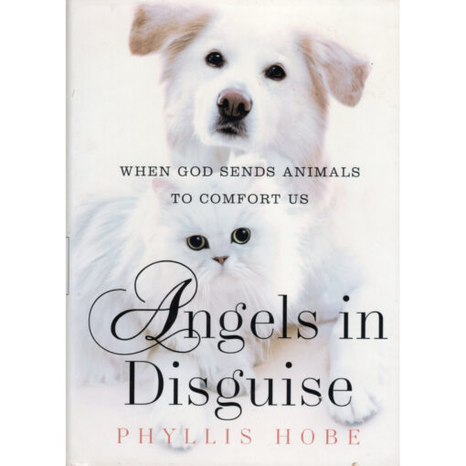 PHYLLIS HOBE Angels In Disguise Book